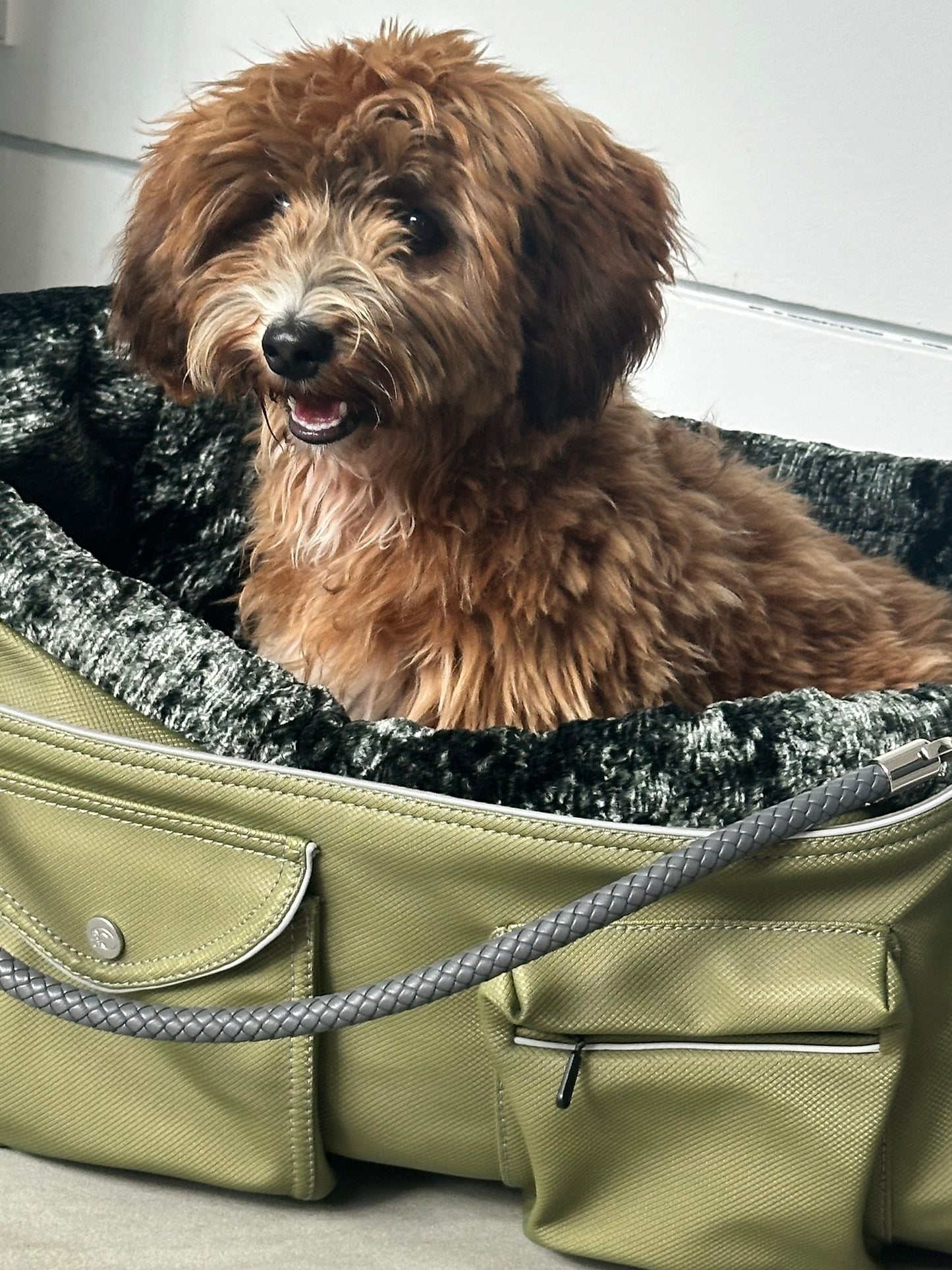 Hundetasche Weekender 4Seasons, moosgrün, M