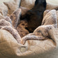 Cama para perros - Cueva Hideaway Stitch