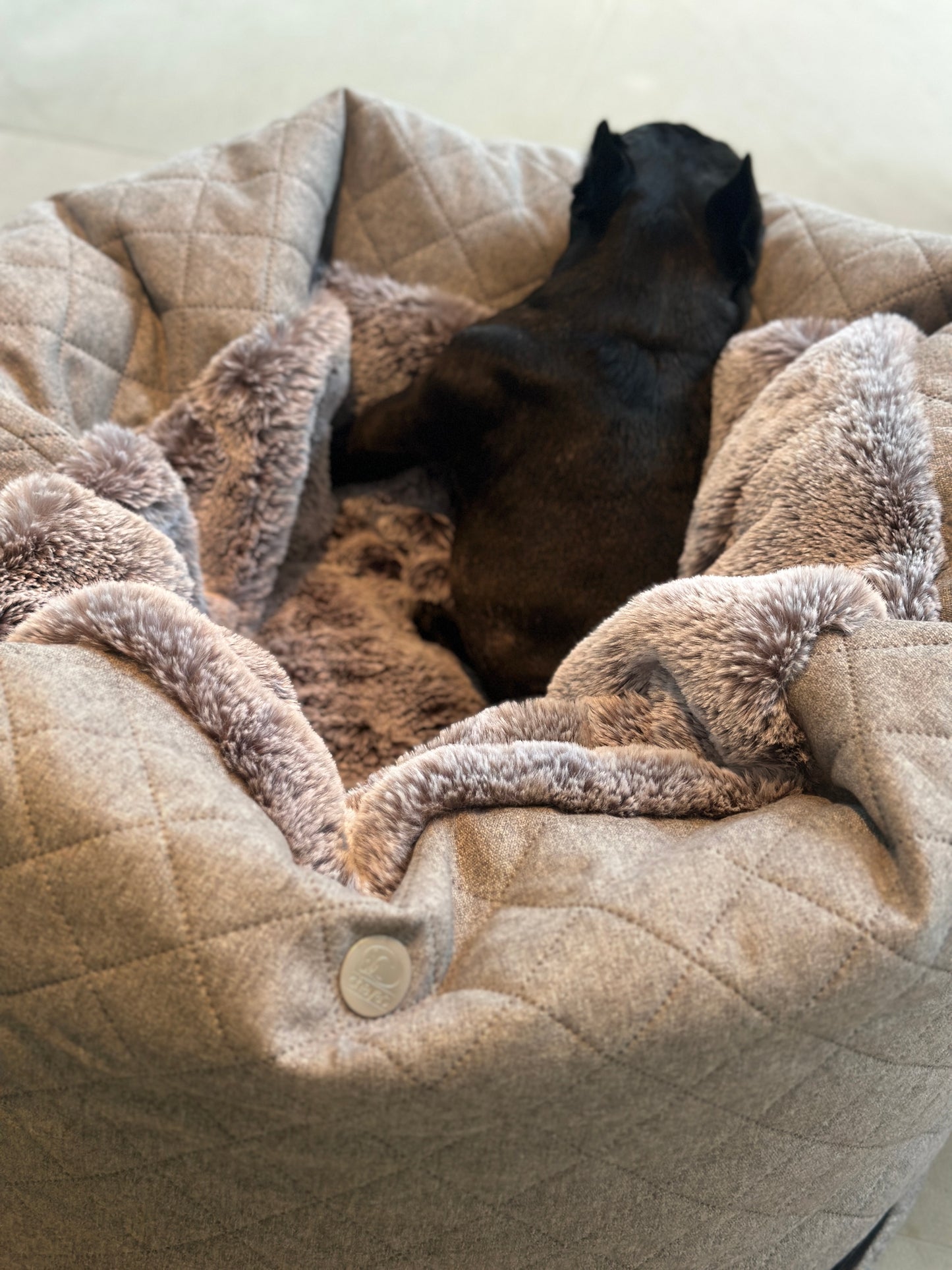 Cama para perros - Cueva Hideaway Stitch