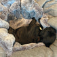 Cama para perros - Cueva Hideaway Stitch
