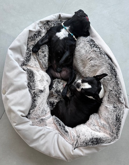 Home Edition - Cama para perros