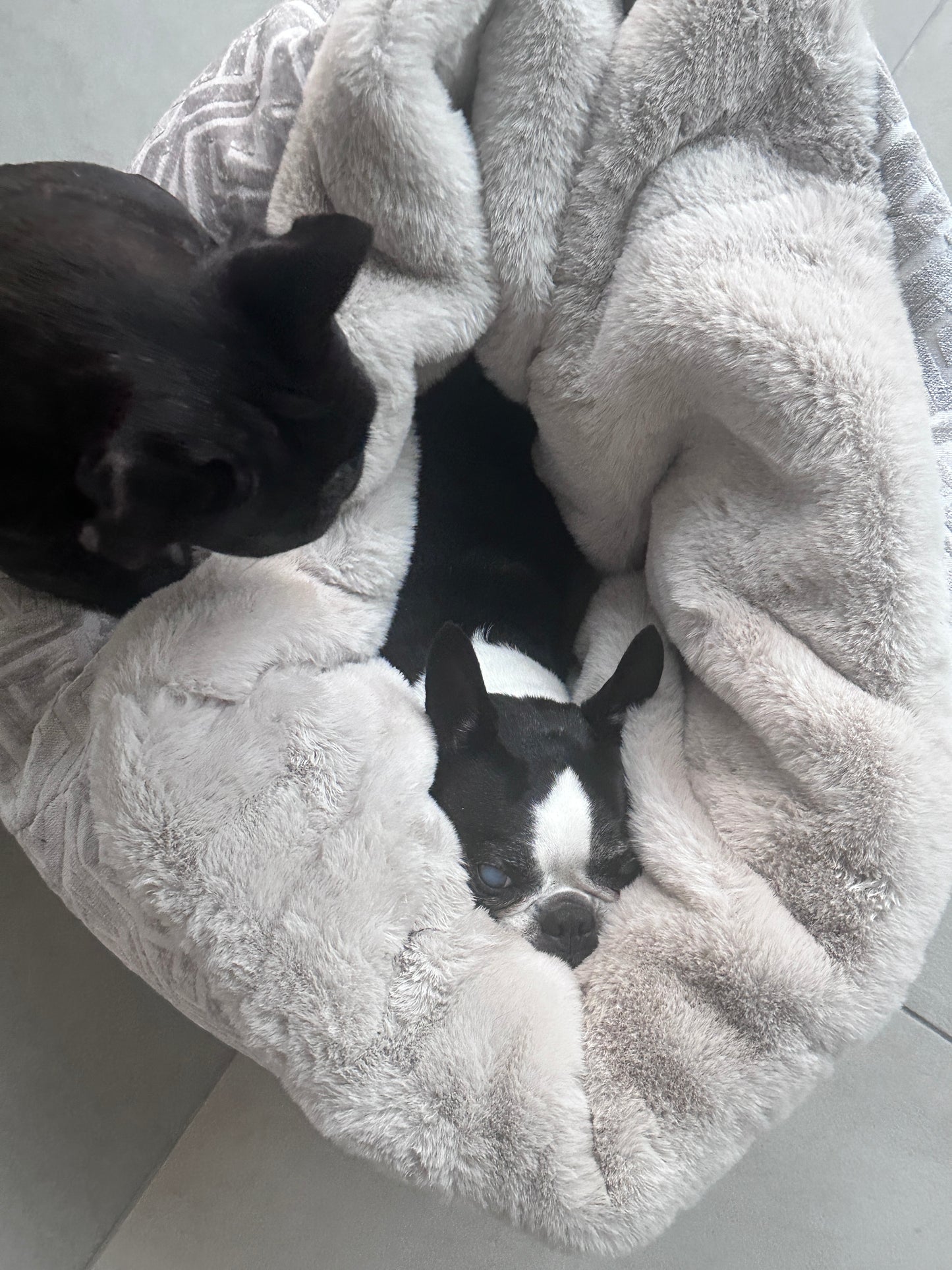 Adorno para cueva de cama para perros Hideaway