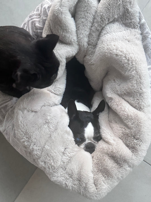 Adorno para cueva de cama para perros Hideaway