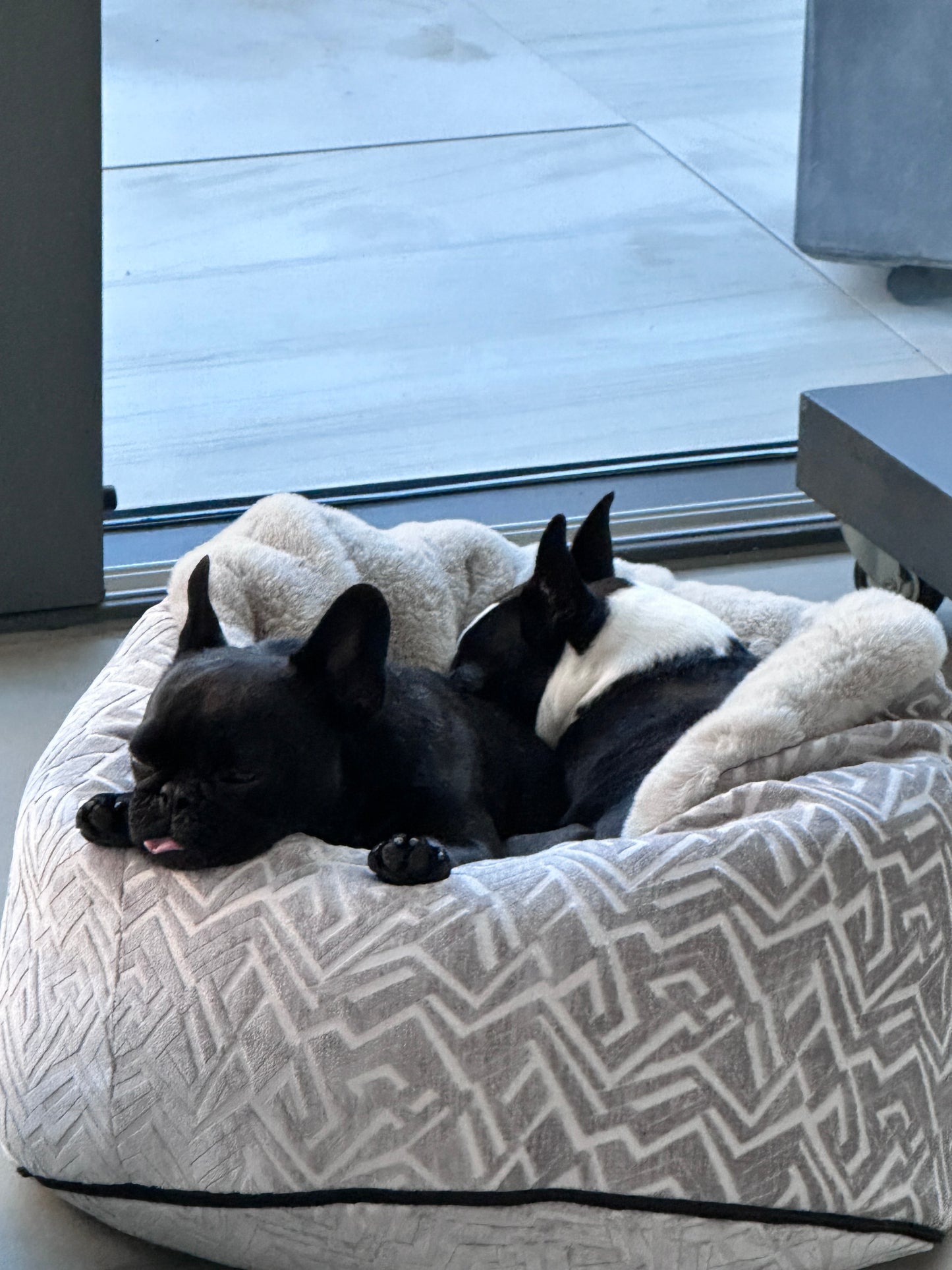 Adorno para cueva de cama para perros Hideaway