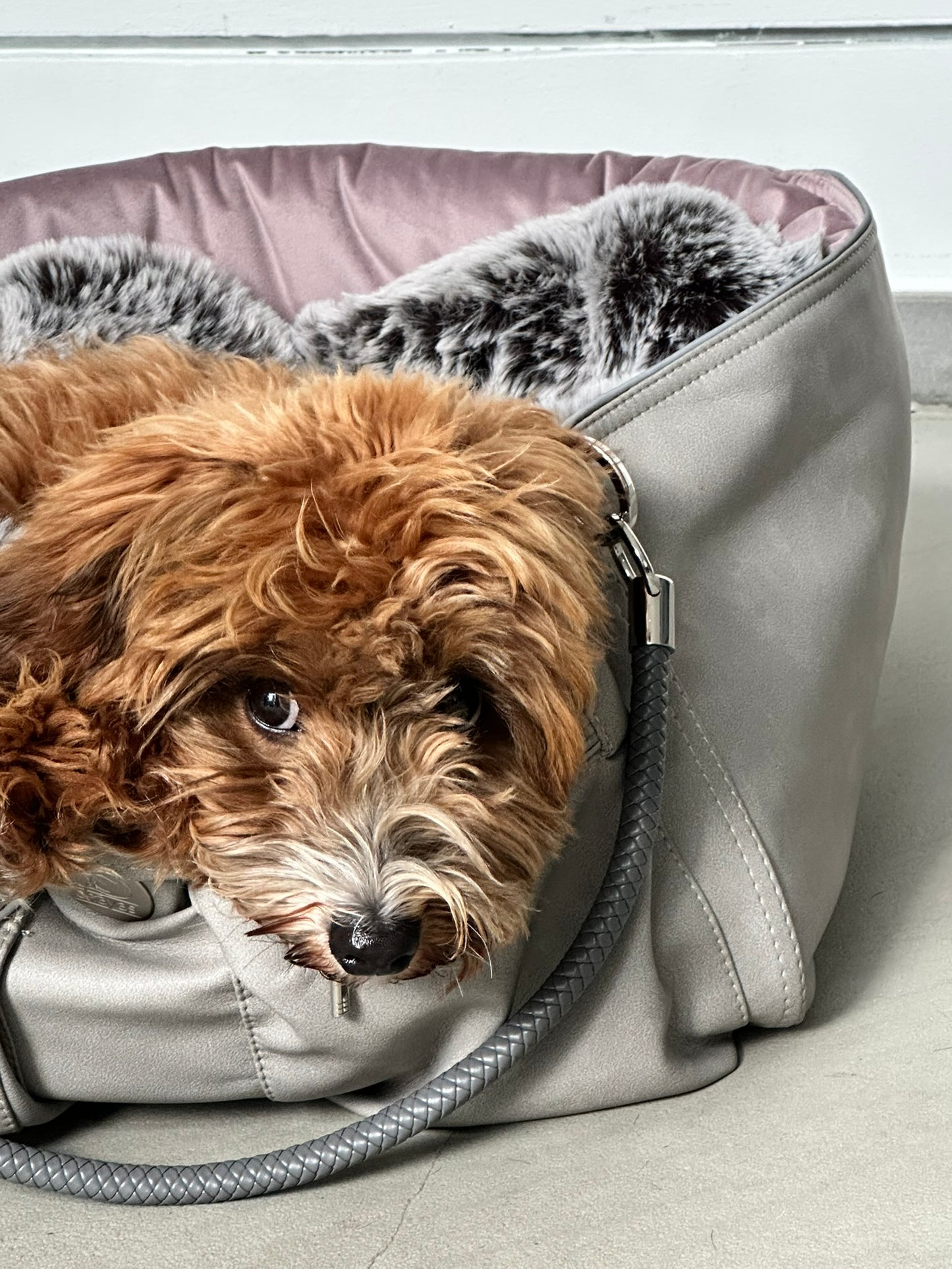 Hundetasche Weekender platingrey-dusty rose, salt & pepper Inlay