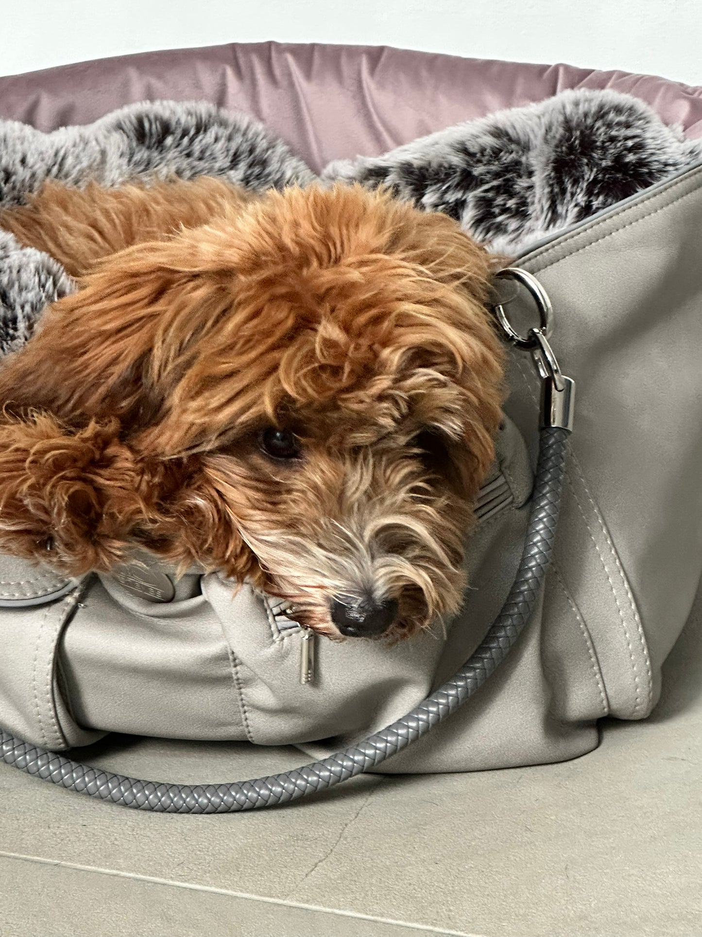 Hundetasche Weekender platingrey-dusty rose, salt & pepper Inlay