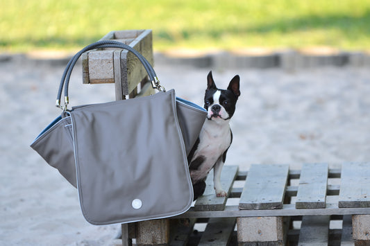 Bolso de viaje para perros Weekender [[ platin grey - iceblue ]]