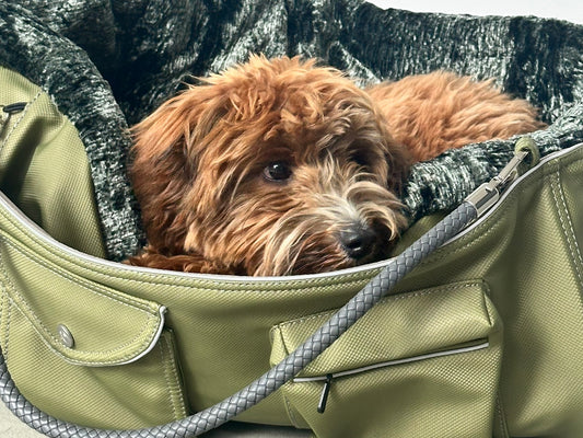 Bolsa de transporte para perros Weekender 4Seasons, verde musgo, M