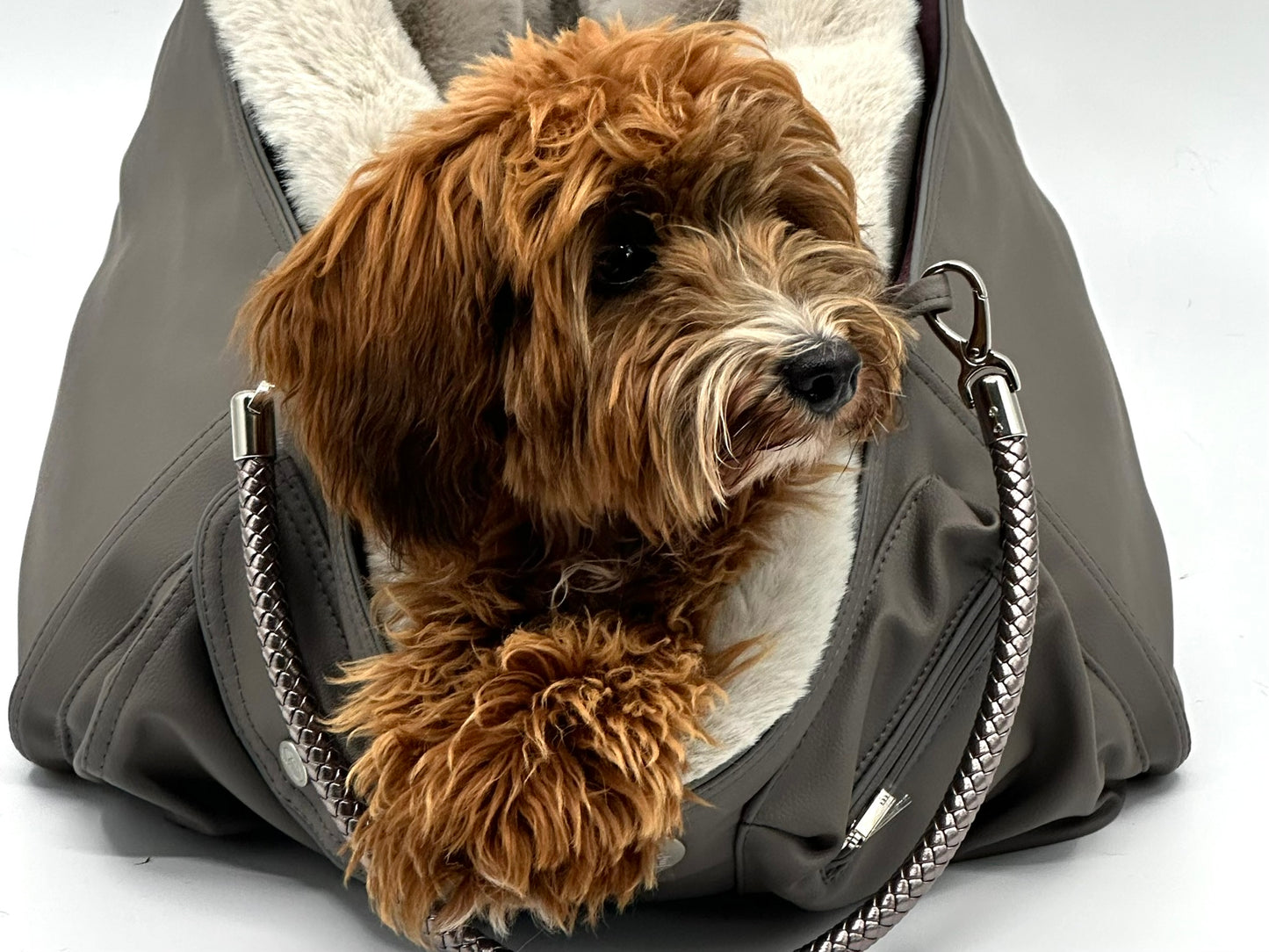 Vale de regalo para un Chaya