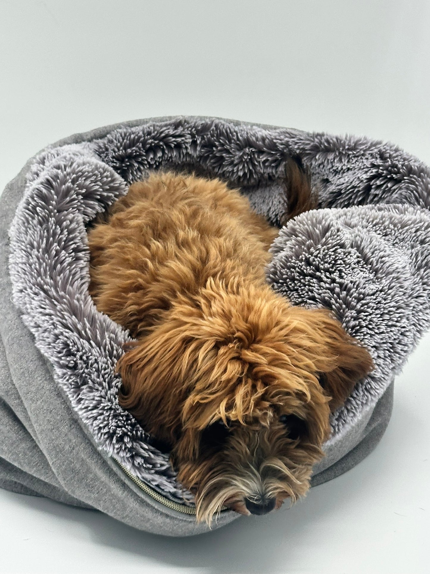 Vale de regalo para un Chaya