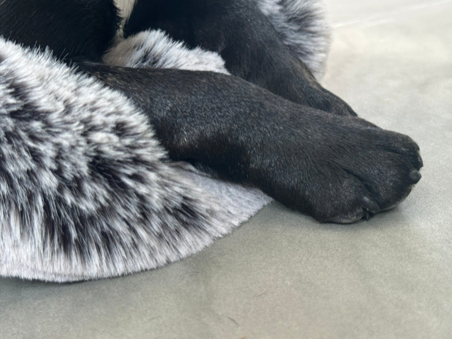 Funda para el bolso de transporte Weekender, Salt & Pepper