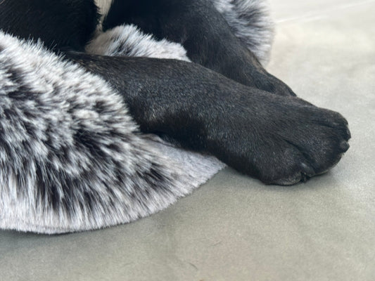 Funda para el bolso de transporte Weekender, Salt & Pepper