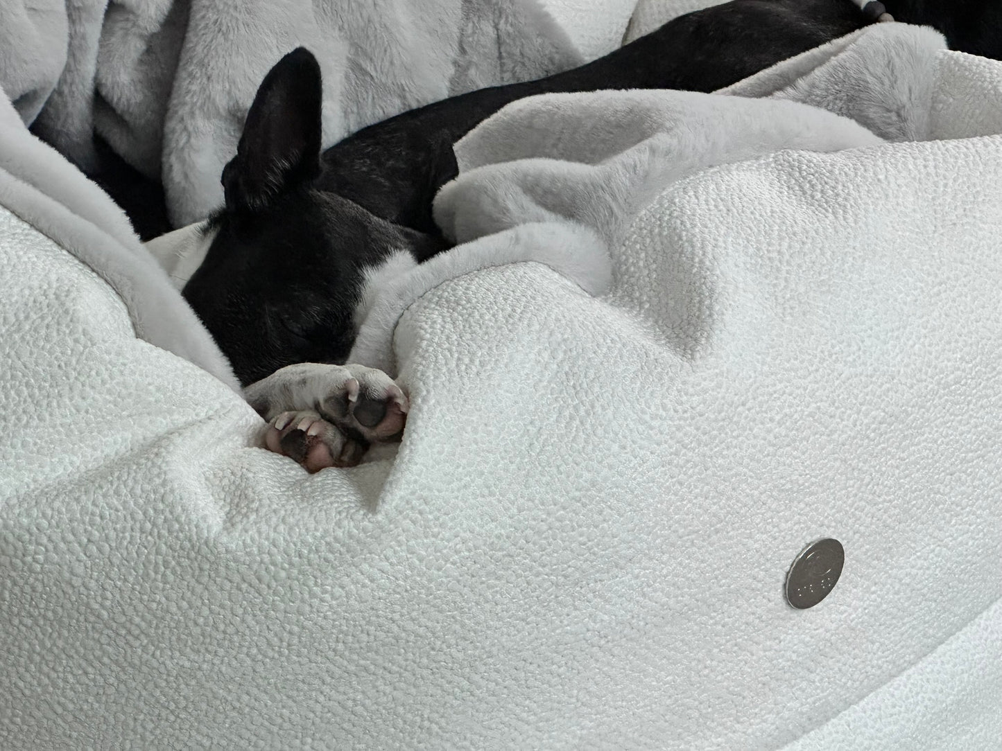 Vale de regalo para un Chaya