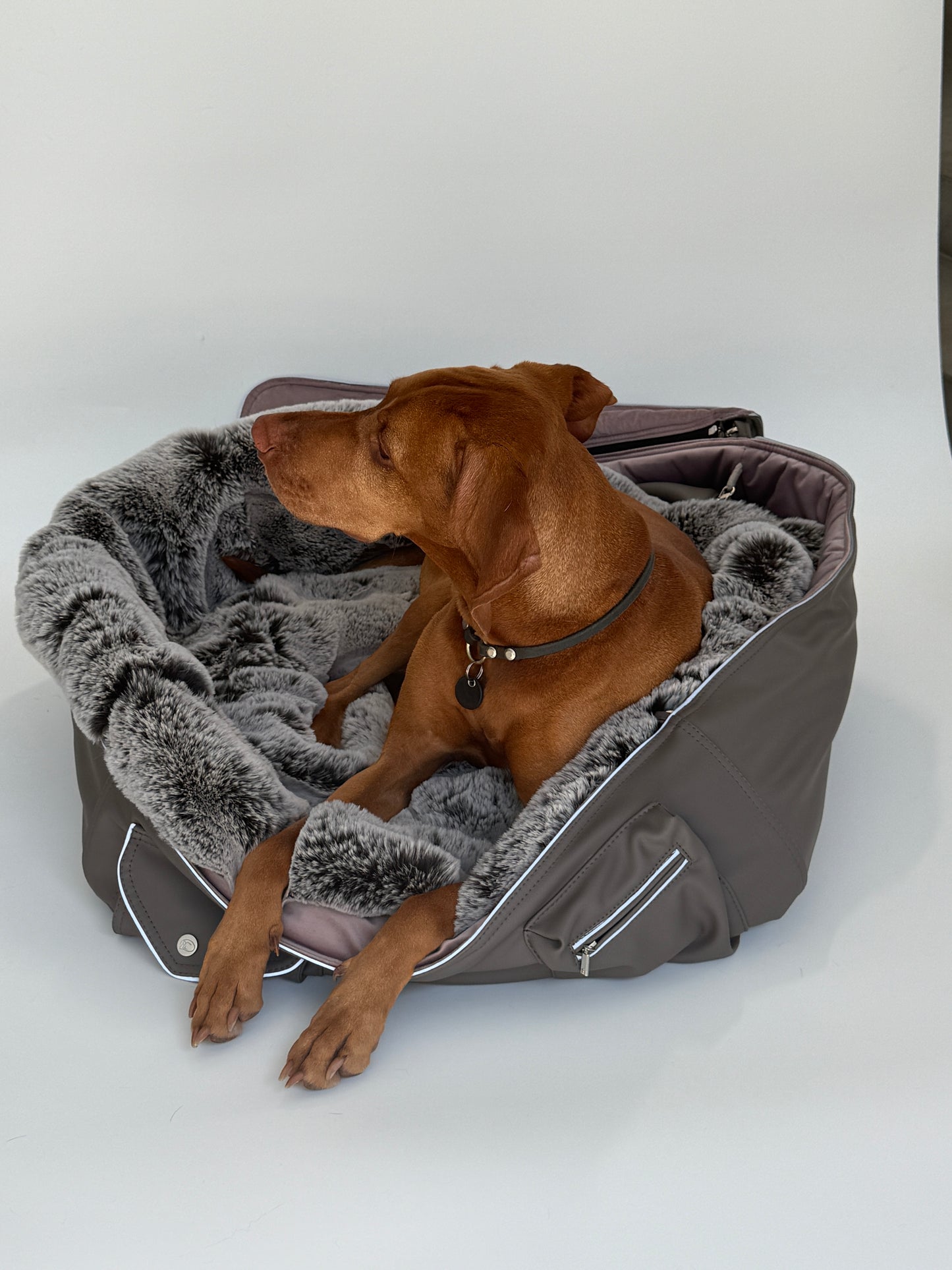 Hundetasche Weekender [[ dark taupe - iceblue ]]
