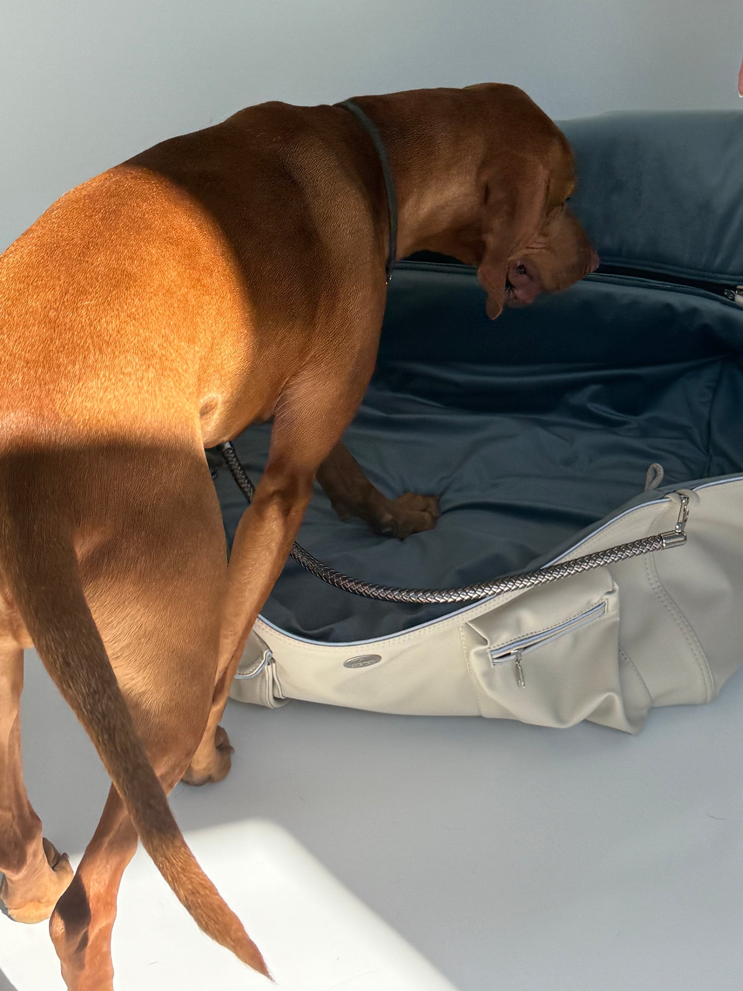 Bolsa de fin de semana para perros [[ ice - azul hielo ]]