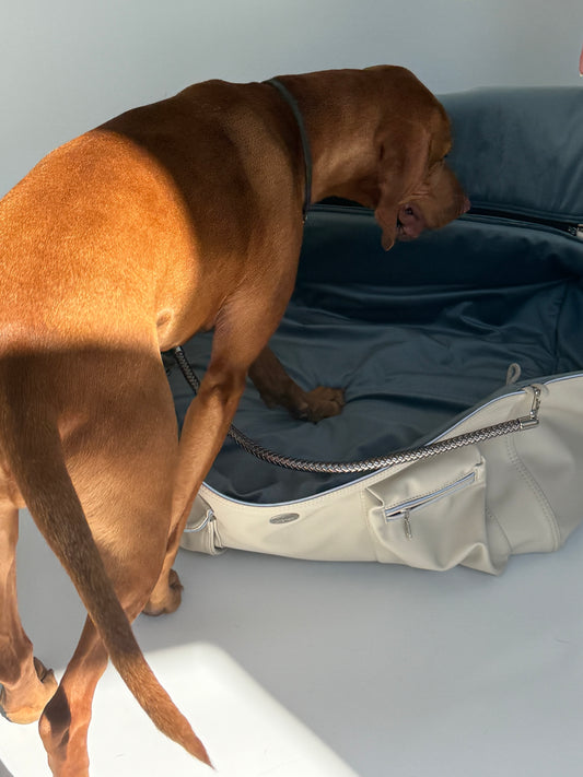 Bolsa de fin de semana para perros [[ ice - azul hielo ]]