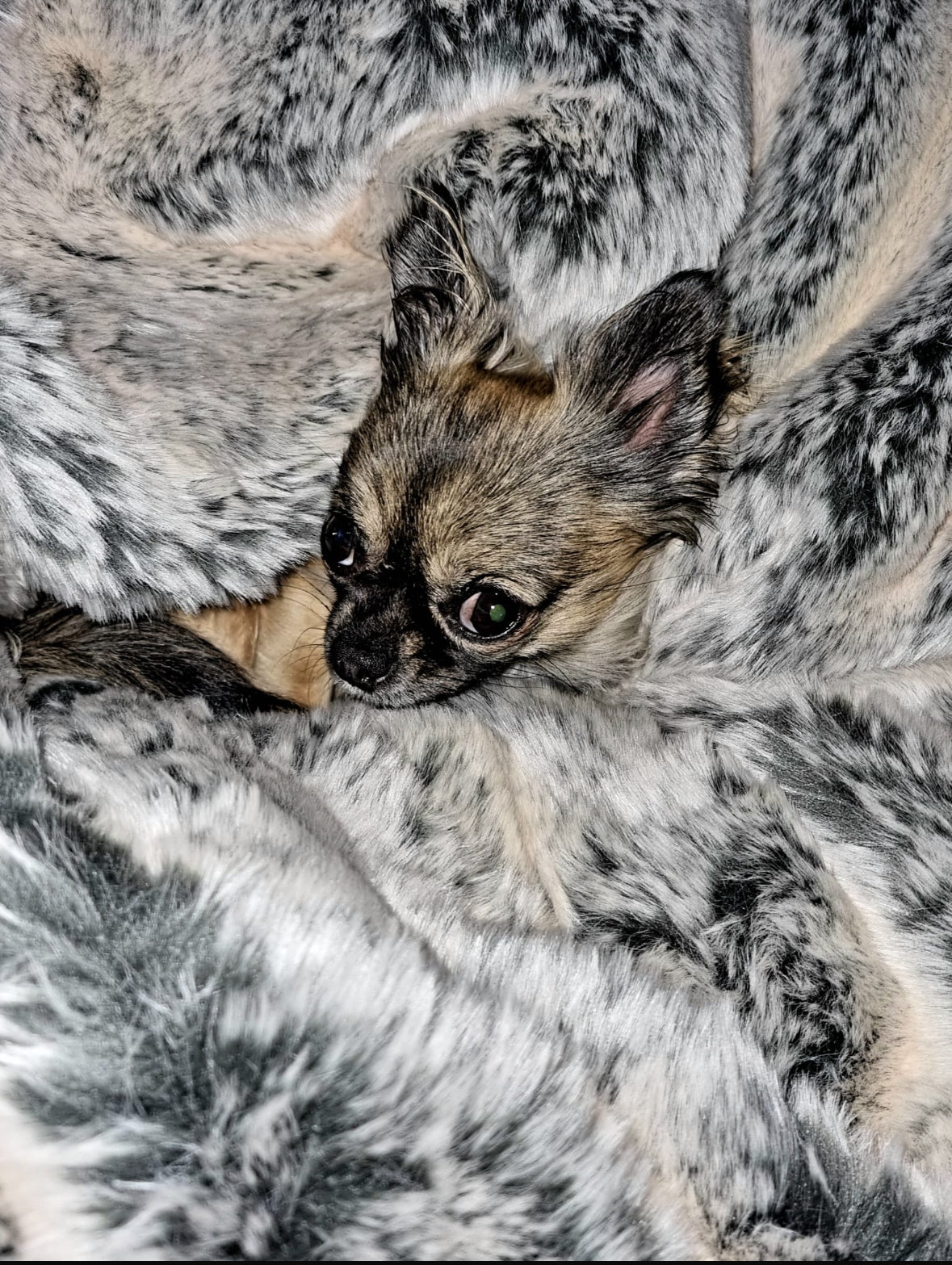 Adorno para cueva de cama para perros Hideaway