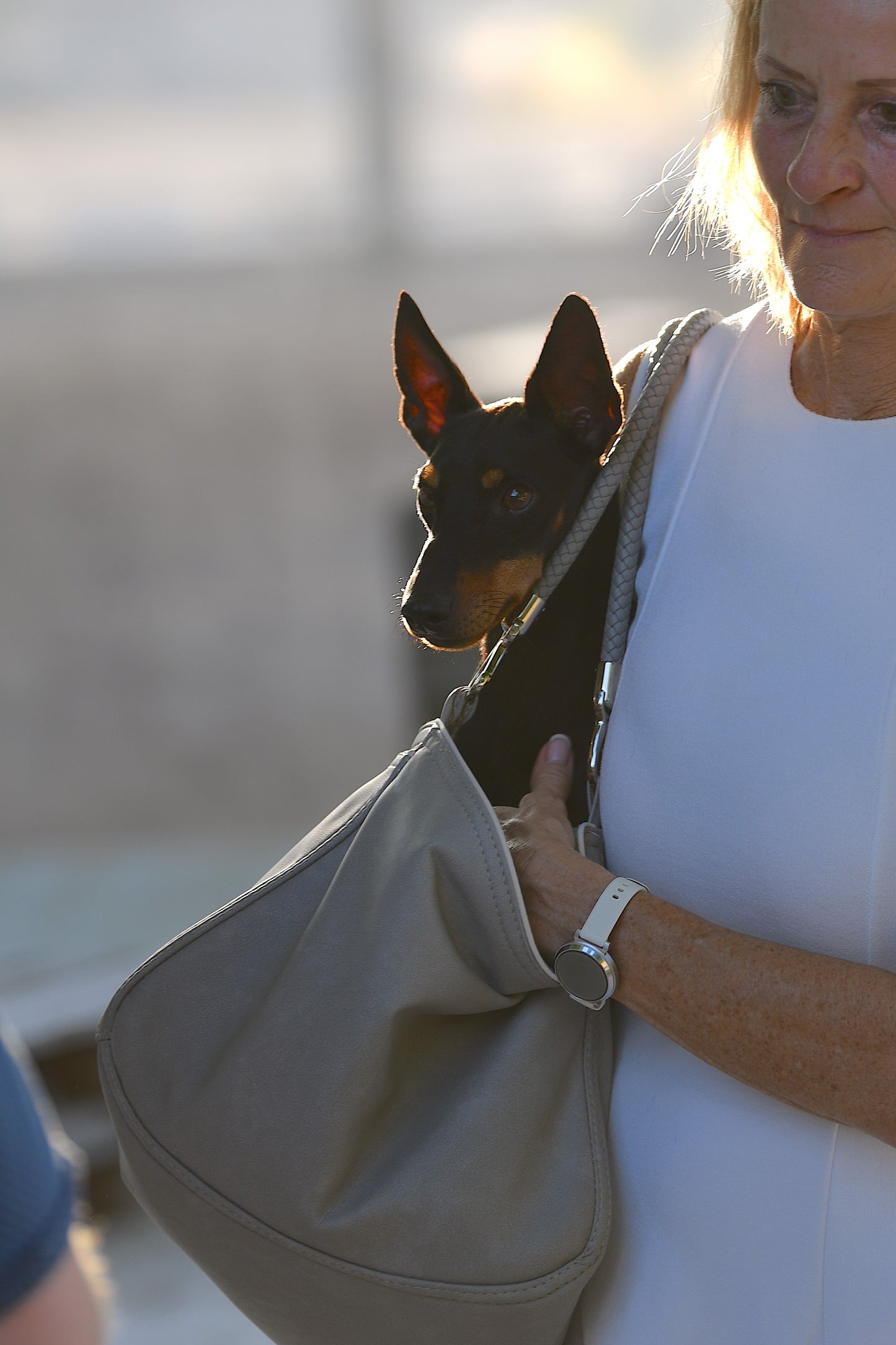 Bolsa de viaje para perros Weekender [[ platin grey - dusty rose ]]