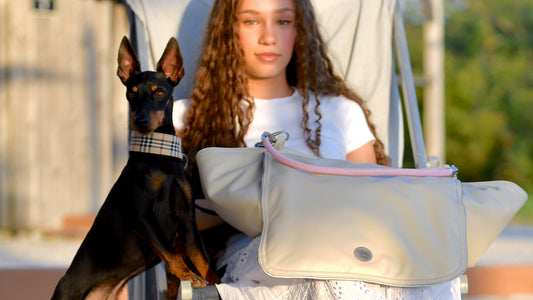 Hundetasche Weekender ice-dustyrose, silverstone Inlay