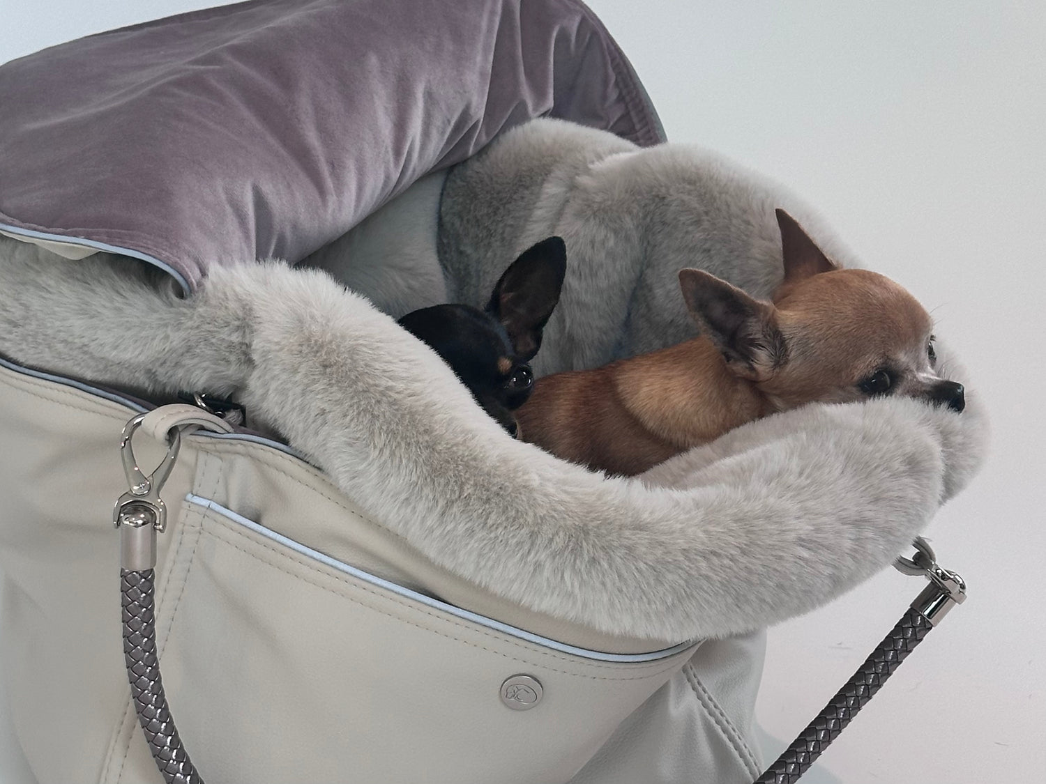 Chayas Expert Opinion