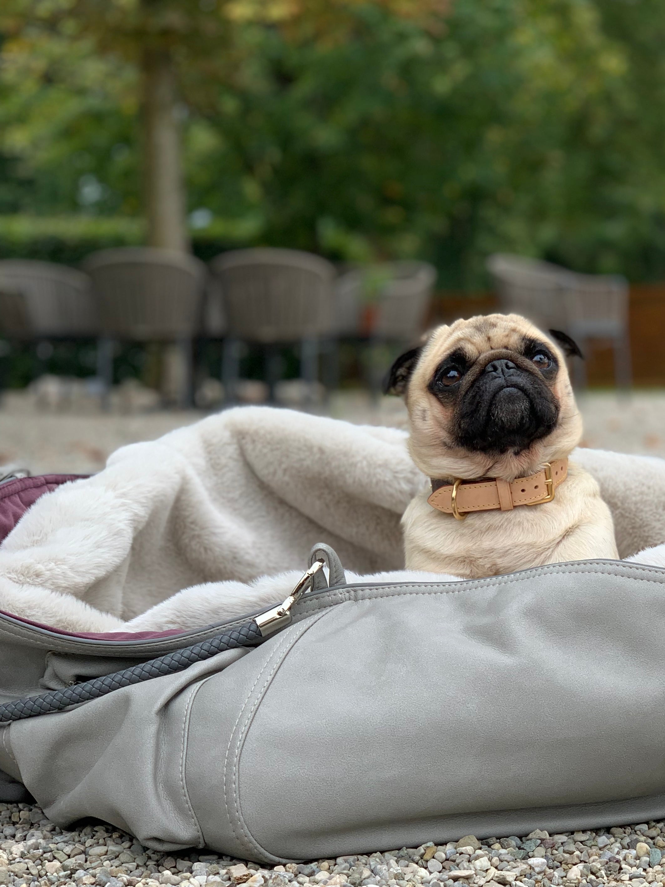 Chayas luxury escapes image