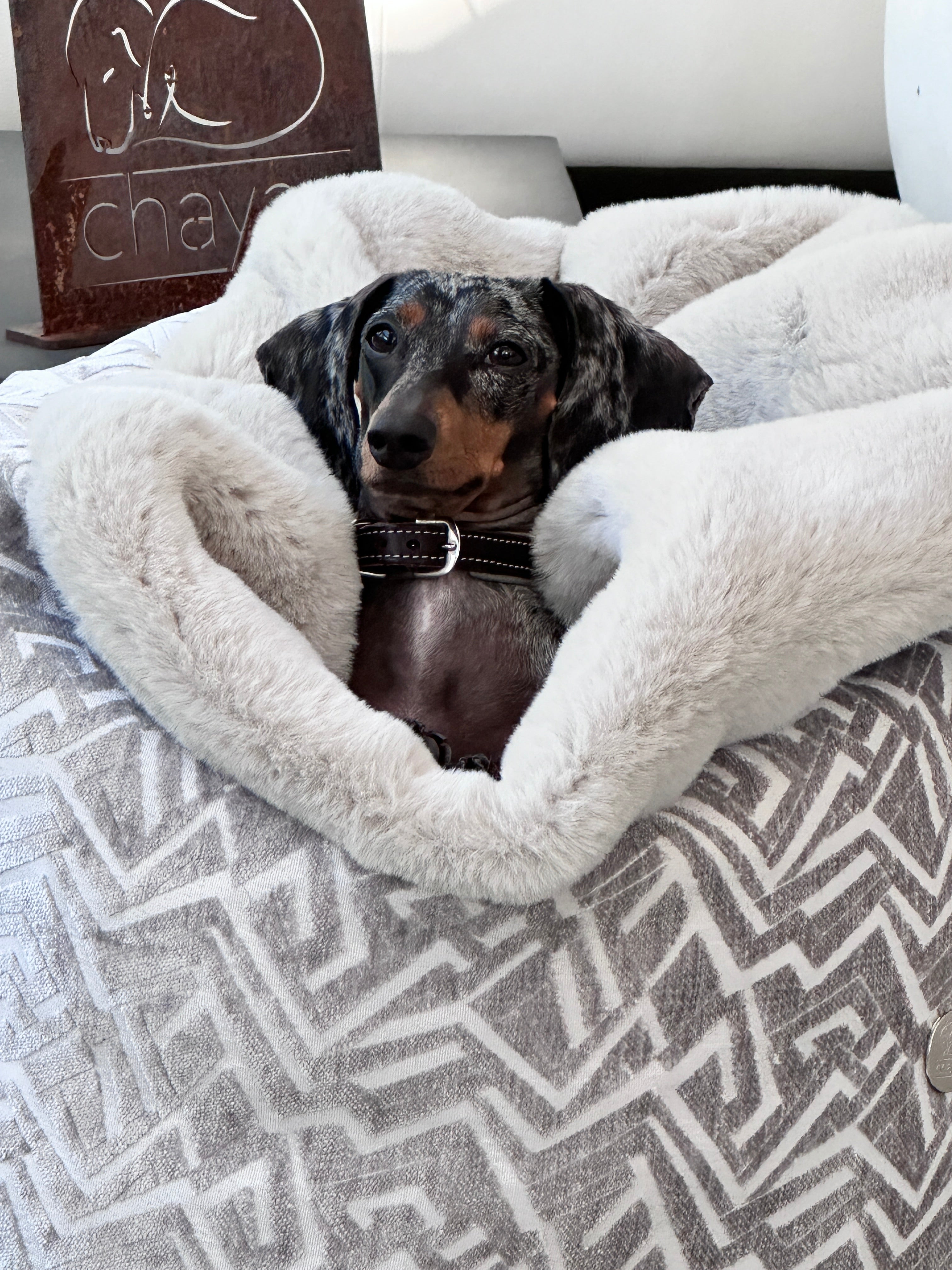 Chayas luxury escapes image