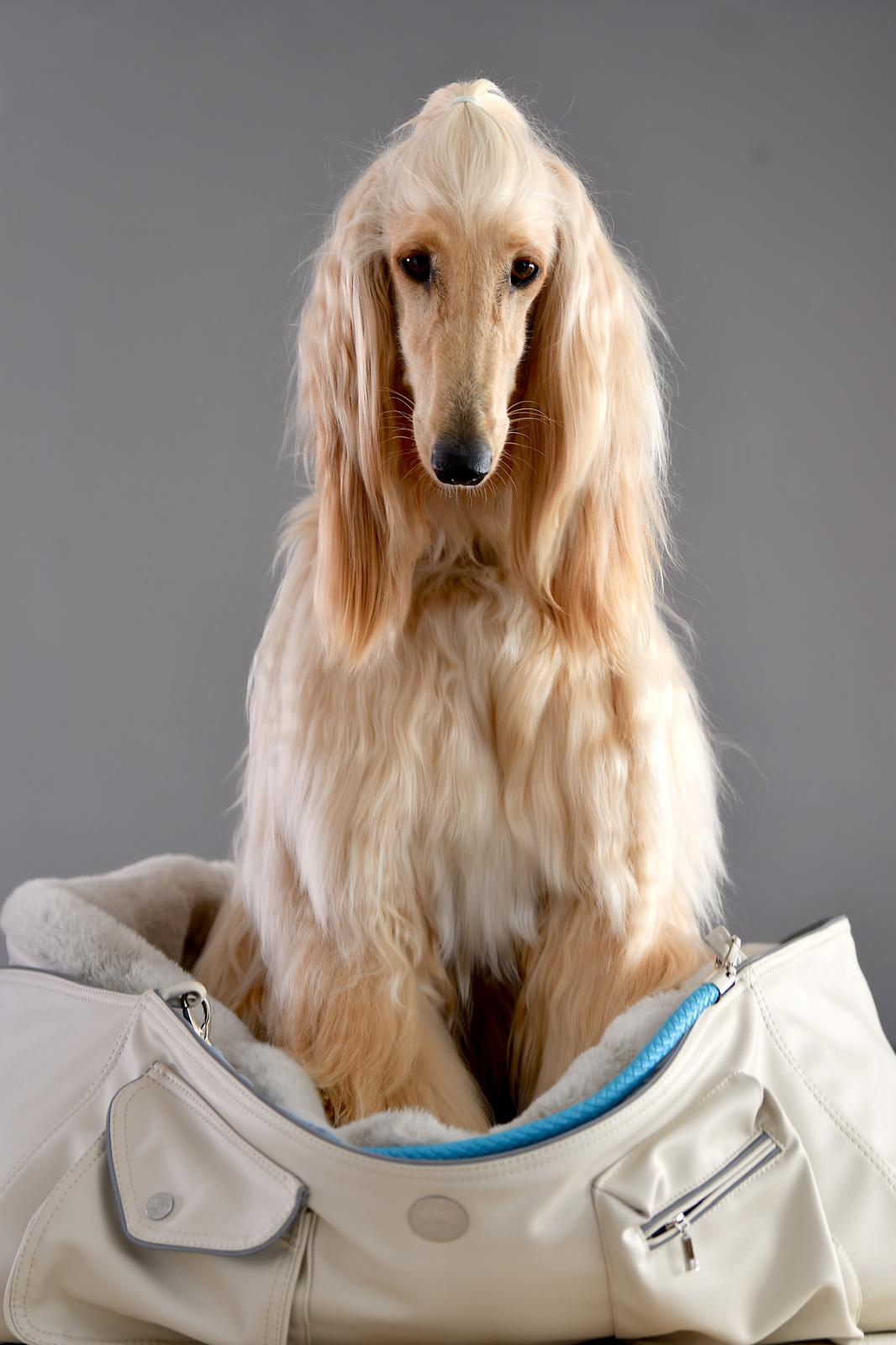 Hundetasche Weekender ice - iceblue, silverstone Inlay