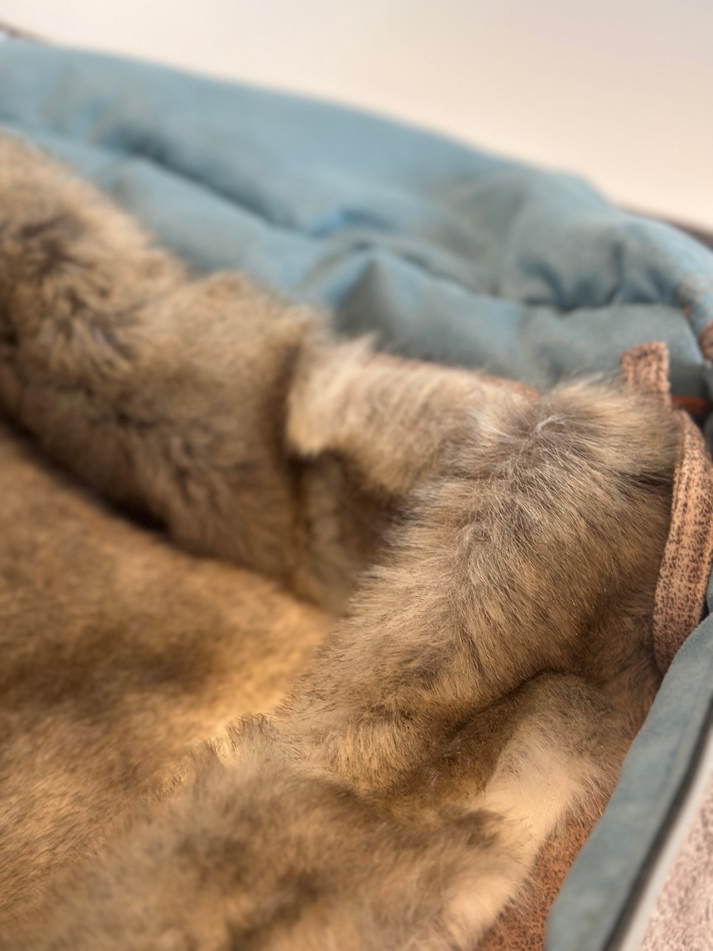 Bolso para perros Weekender 4Seasons, visón con correa cruzada para el hombro, M